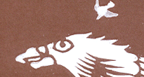 型紙付き図案-鳥-7【鷹】部分拡大