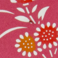 「菊蝶」部分拡大