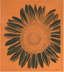 図案入り型紙「夏の花－１１」