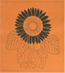 図案入り型紙「夏の花－１２」