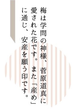 梅は学問の神様、菅原道真に愛された花です。また「産め」に通じ、安産を願う印です。