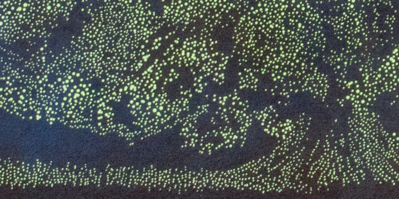 「大樹」（￥158,400）部分拡大