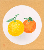 「橙」だいだい