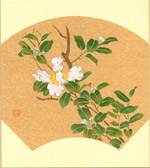 山茶花