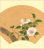 白椿
