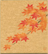 ミニ紅葉1