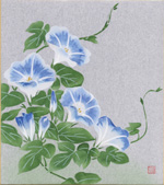朝顔-1