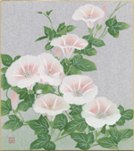 朝顔-2