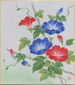 朝顔-3
