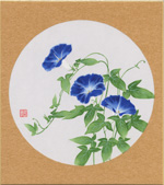 朝顔-4