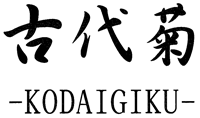 「古代菊　-KODAIGIKU-」